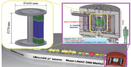 g-2/EDM実験用飛跡検出器の開発