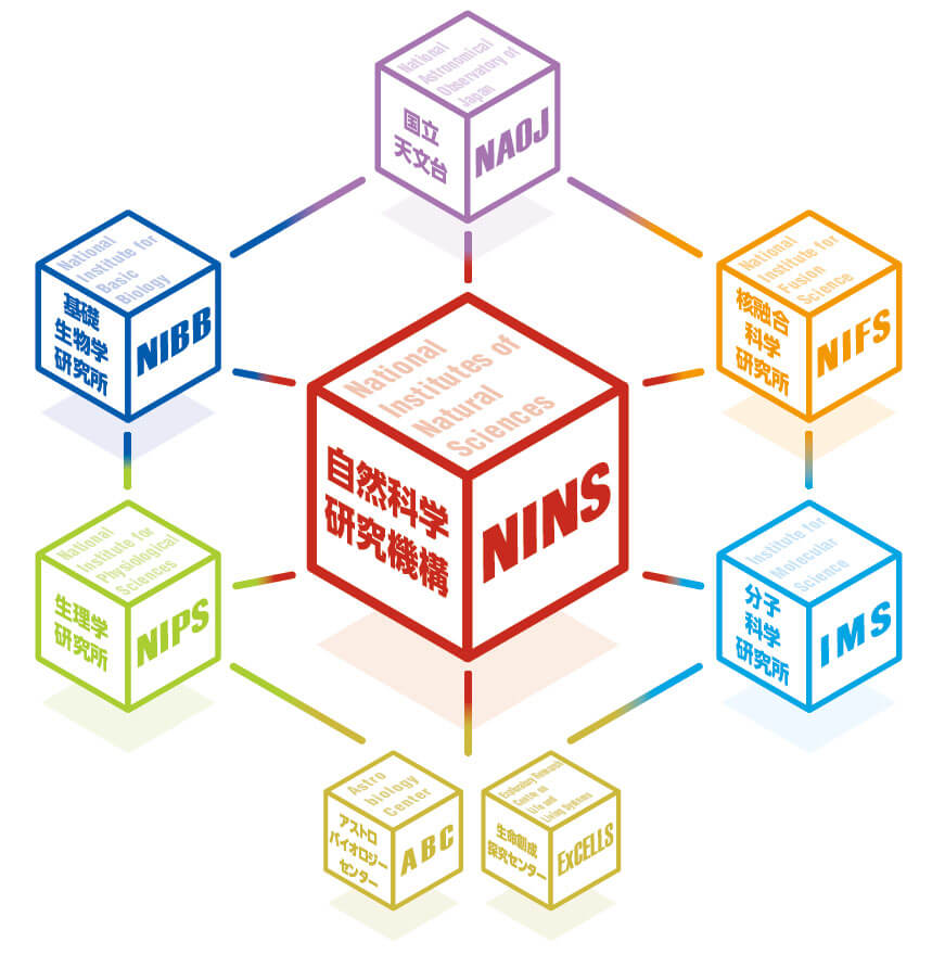 自然科学研究機構（NINS）は、５つの大学共同利用機関（国立天文台、核融合科学研究所、基礎生物学研究所、生理学研究所、分子科学研究所）と直轄の２つのセンター（アストロバイオロジーセンター、生命創成探究センター）を設置・運営しています。